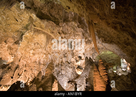 USA, New Mexico, Carlsbad Caverns National Park. The Big Room, the largest cave in the Carslbad Caverns National Park. Stock Photo