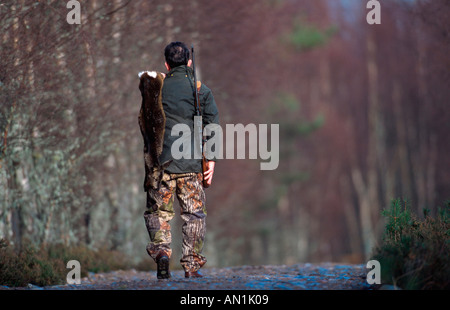 hunter, with dead roe deer walking along forest track, United Kingdom, Scotland, Strathspey Stock Photo