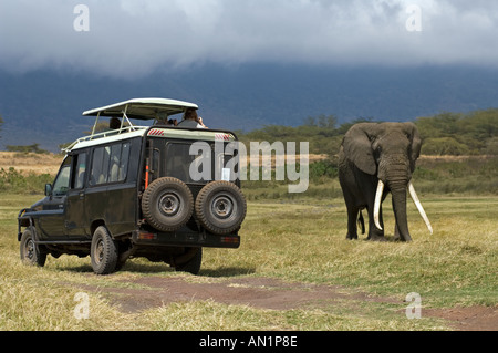 Tourists enjoy watching a Big Tusker (Elephant) from close range in Ngorongoro Crater, Tanzania. Stock Photo