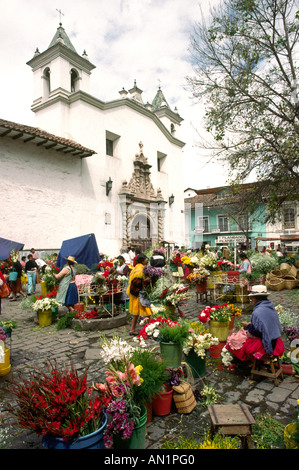 flower market Stock Photo