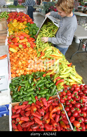 Raleigh North Carolina,State Farmers Market vegetables produce vendor,marketplace locally grown selling display sale teen organizing peppers girl Stock Photo