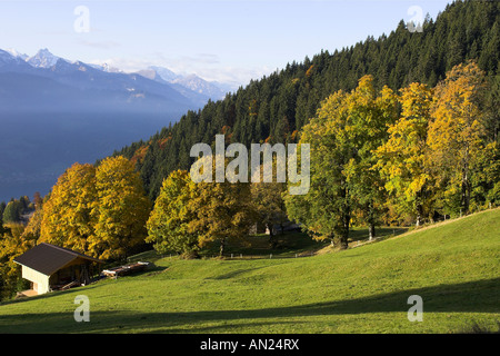 Ausflüge Berner Oberland Herbst Ausflüge Berner Oberland Herbst