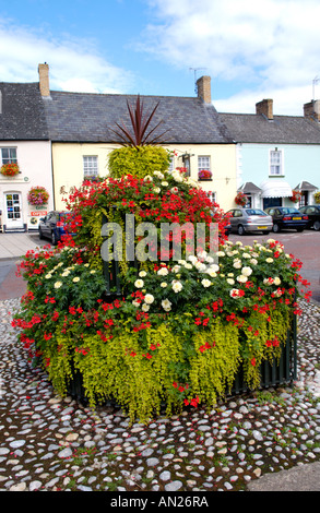 Floral display in Twyn Square Usk Monmouthshire UK the town annually competes in both Wales and Britain in Bloom competitions Stock Photo