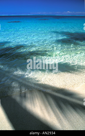 Palm tree shadows on beach and lagoon, Bora Bora Stock Photo