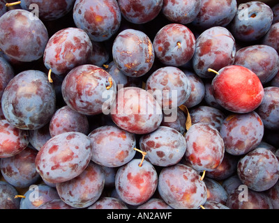 fresh plums Stock Photo