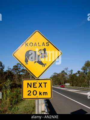 Road & Koala Road Sign, Queensland , Australia Stock Photo