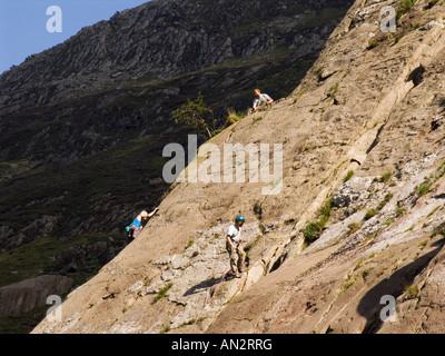 ROCK CLIMBERS climbing on Idwal Slabs in Snowdonia National Park in summer. Cwm Idwal Gwynedd North Wales UK Stock Photo