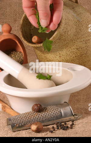 Spices and Herbs with a female hand sprinkling leaves into a pestle and mortar Stock Photo