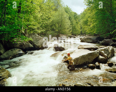 man fishing Little Pigeon River Tennessee USA Stock Photo