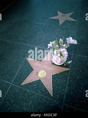 Hollywood / Hollywood Boulevard / Walk of Fame / Elvis Presley Star & Flower Bouquet, Los Angeles, California, USA Stock Photo