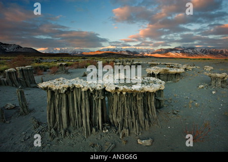 Mono Lake tufas Stock Photo