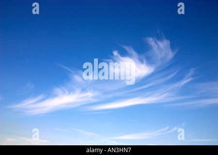 Cirrus clouds in a blue sky Stock Photo