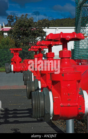 Red fire hydrants at industrial site Focus is on the third hydrant from the front Stock Photo