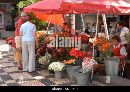 Older people senior couple looking at shopping flowers Flower stall Funchal Madeira Portugal EU Europe Stock Photo