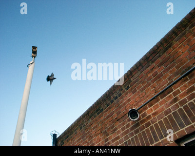 surveillance cameras ,London,England Stock Photo