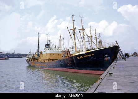 Grimsby Fishing Trawlers on North Wall of Grimsby Fish Docks. Circa 1960. End of an era. Stock Photo