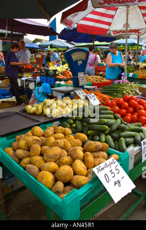 Centraltirgus the main market in RIGA the capital of Latvia in northern Europe Stock Photo