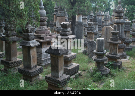 The buddhist temple forest named Ling Yan Temple in China Stock Photo