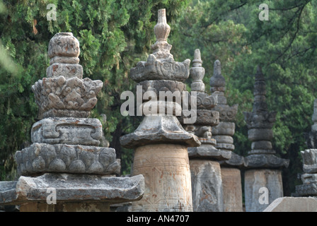 The buddhist temple forest named Ling Yan Temple in China Stock Photo