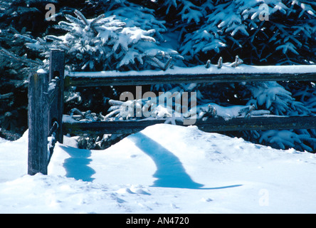 Winter Scene Stock Photo