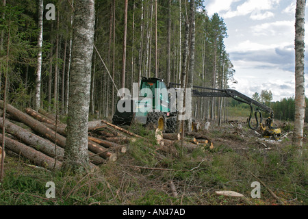 Finnish Taiga forest cut down by a Timberjack forest harvester , Finland Stock Photo
