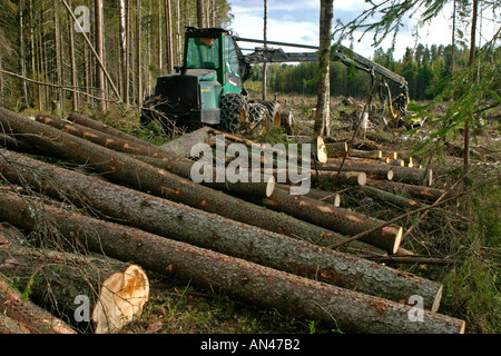 Finnish Taiga forest cut down by a Timberjack forest harvester , Finland Stock Photo