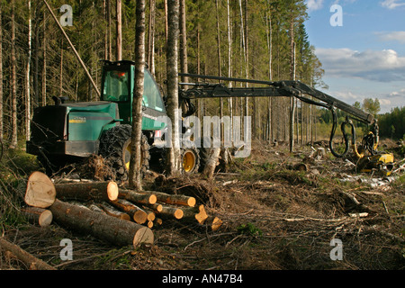 Finnish Taiga forest cut down by a Timberjack forest harvester , Finland Stock Photo