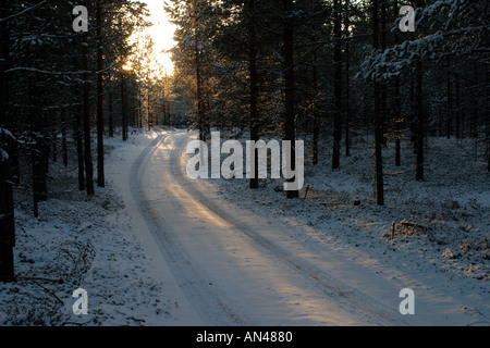Snow covered empty forest trail in the middle of the forest , Finland Stock Photo