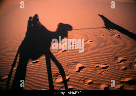 Morocco shadow of two tourists on camel riding to the sand dunes at Erg Merzouga south of Erfoud to watch the sunset Stock Photo