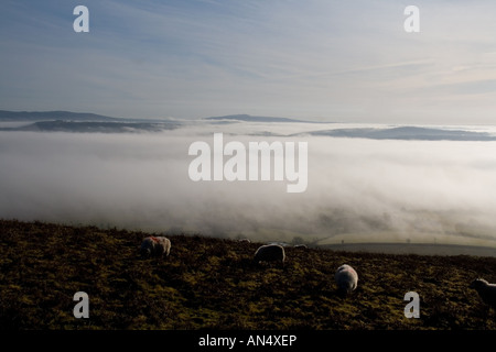 Looking across a misty Ape Dale and Corve Dale in South Shropshire towards Titterstone Clee Hill Stock Photo