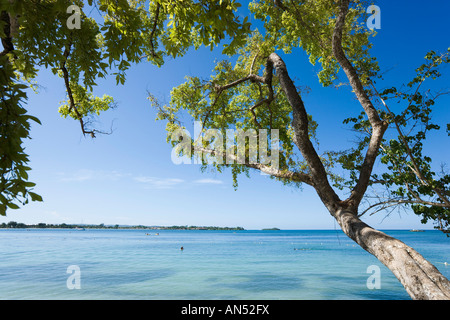 Beach outside Riu Negril Hotel, Bloody Bay, Negril, Jamaica, Caribbean, West Indies Stock Photo