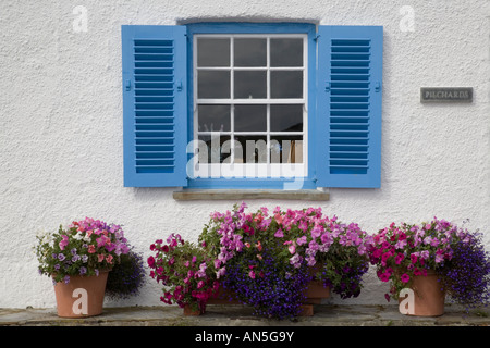 Blue shutters on windows of a cottage in St Mawes Cornwall Stock Photo