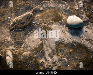abstract patterns of frozen water pebbles air bubbles and ice in a pond Stock Photo