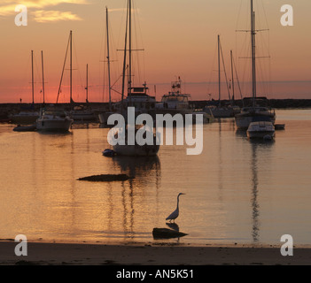 Old Harbor Block Island Rhode Island Bird on a Rock with Sailboats moored in background during late summer Stock Photo