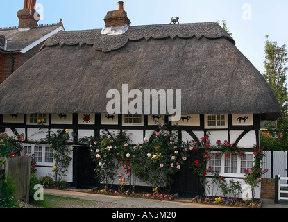 The Cat House (built in 1550) in Henfield East Sussex. UK Stock Photo