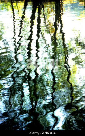 Trees water reflection on a river Stock Photo - Alamy