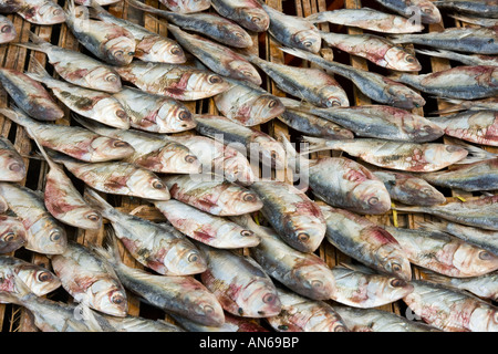 dried fish market Jakarta Indonesia Stock Photo - Alamy