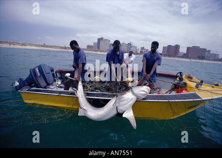 Fish net hi-res stock photography and images - Alamy