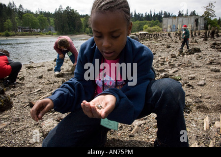 100 4th and 5th graders from John Muir Elementary School spend 4 days participating in outdoor and environmental activities. Stock Photo