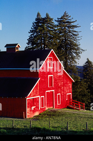 Classic Red Barn Redwood Trees In The Santa Cruz Mountains