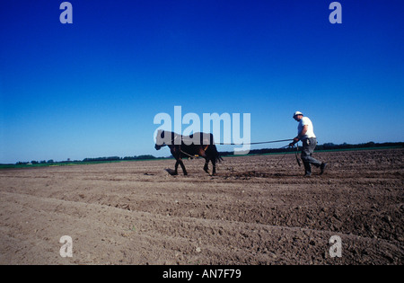 A Polish farmer ploughing with the aid of his horse Stock Photo