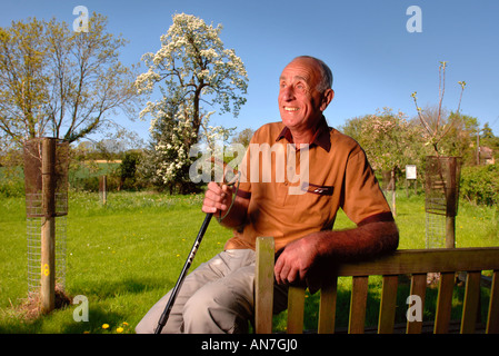 A RETIRED MAN IN A COMMUNITY ORCHARD GLOUCESTERSHIRE ENGLAND UK Stock Photo