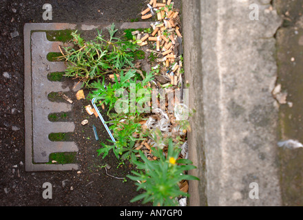 CIGARETTE STUBS LYING IN A GUTTER WITH A BLOCKED DRAIN IN AN URBAN LOCATION UK Stock Photo