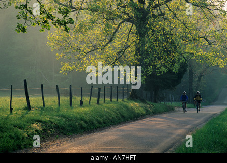 Two bikers on Sparks Lane in the Smokies. Stock Photo