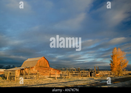 Golden Early Morning Light on an old Moulton Barn on Mormon Row in the Grand Teton National Park