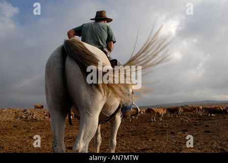 An Israeli cattle rancher wearing a pistol mounted on a horse in the Golan heights northern Israel Stock Photo