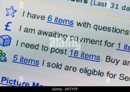 Computer screen shot extreme close up of eBay user information Stock Photo