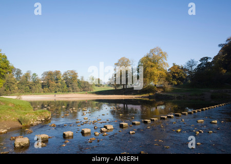 Stepping stones across River Wharfe in Yorkshire Dales National Park. Bolton Abbey, Wharfedale, North Yorkshire, England, UK Stock Photo