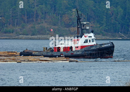 Log Boom Tug Timber Raft being towed in the Georgia Strait, British Columbia, Canada.  BCX 0437 Stock Photo