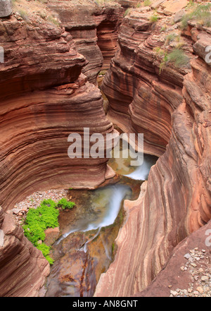 Slot canyon in Deer Creek patio Deer Creek is a side stream to the Colorado River in the interior of the Grand Canyon Stock Photo